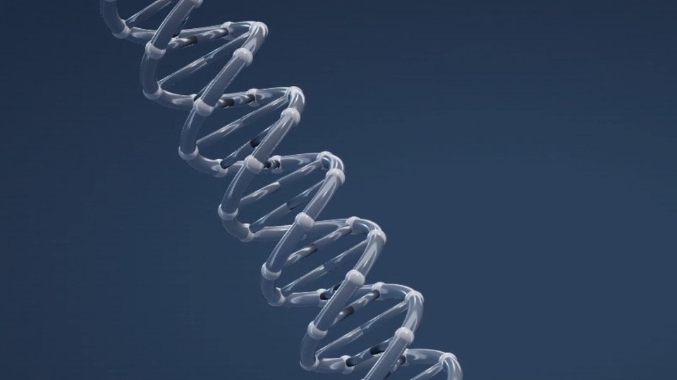 DNA 双螺旋交互解链
